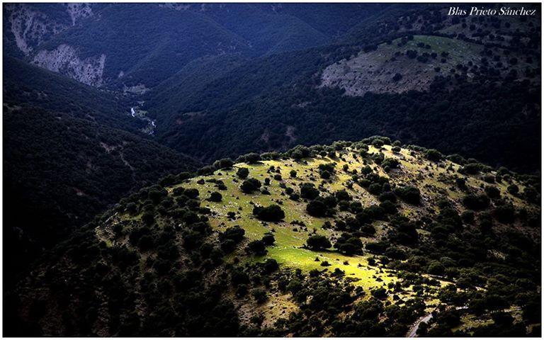 Apartamentos Turisticos Rurales Monte De Las Animas Valdepenas de Jaen 외부 사진