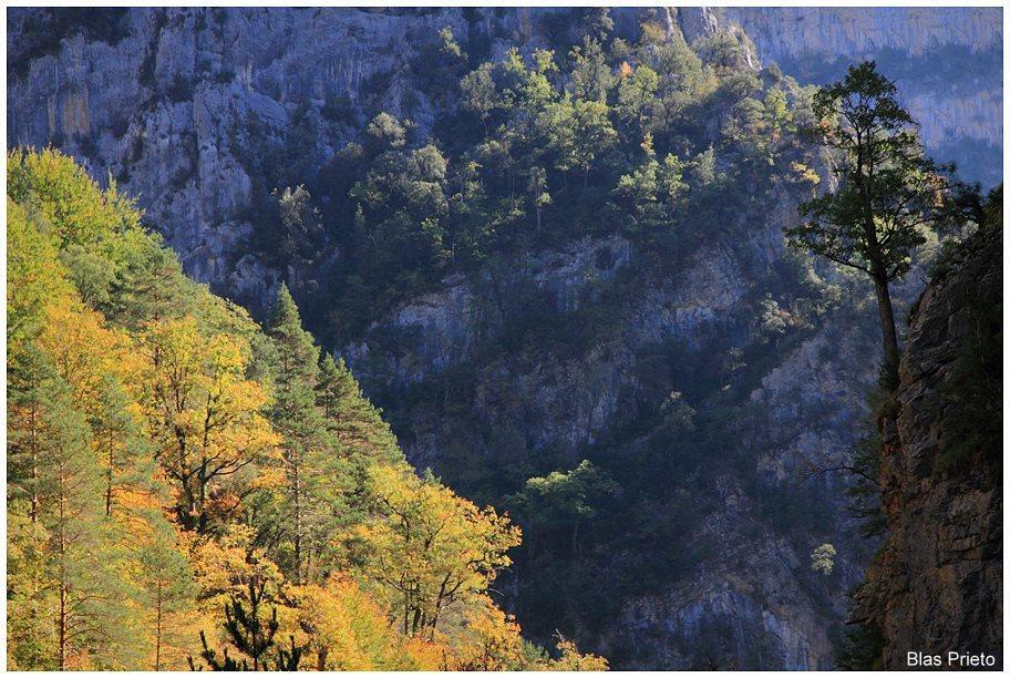 Apartamentos Turisticos Rurales Monte De Las Animas Valdepenas de Jaen 외부 사진