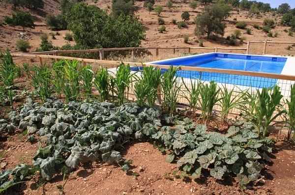 Apartamentos Turisticos Rurales Monte De Las Animas Valdepenas de Jaen 외부 사진
